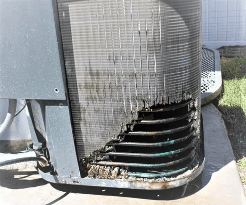 Rodent Damage To A/C Unit
