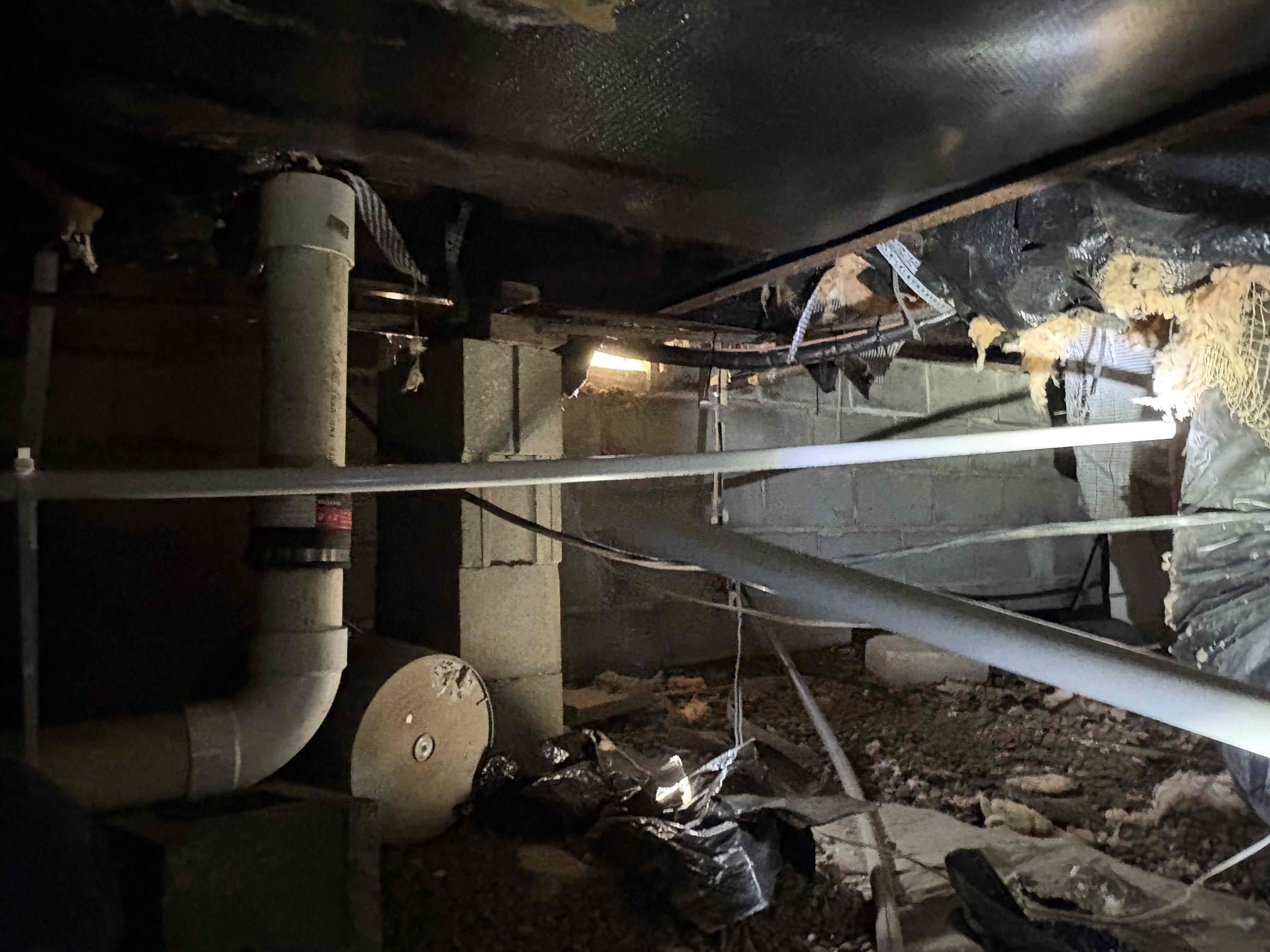 Benji Loyd, Logan Partenheimer