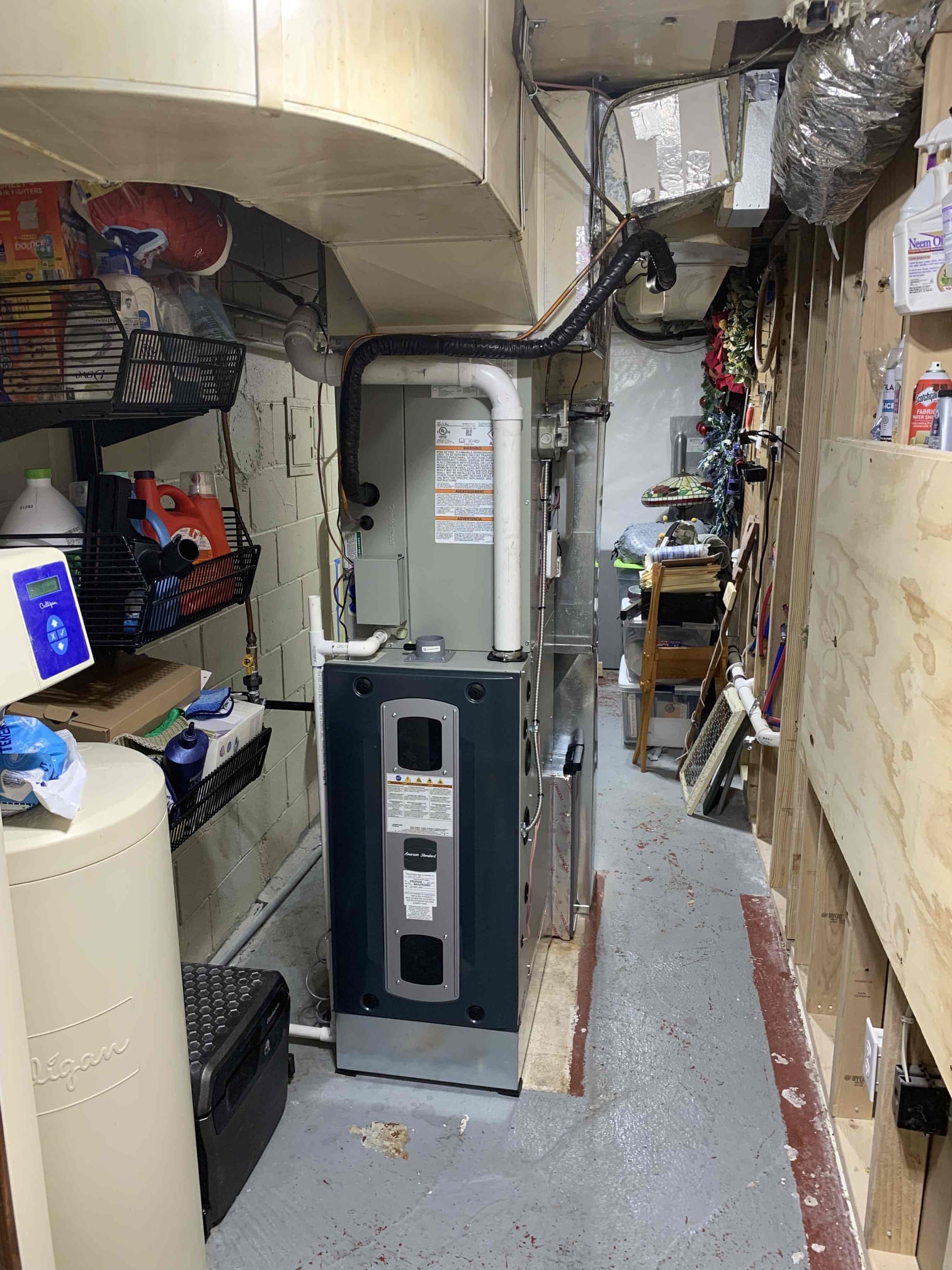 Benji Loyd, Carson Howard, Logan Partenheimer